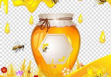 angapin-honey1