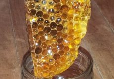 natural organic honey